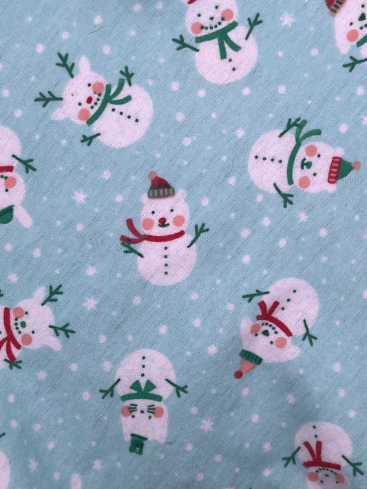 Winter Snowman Animals