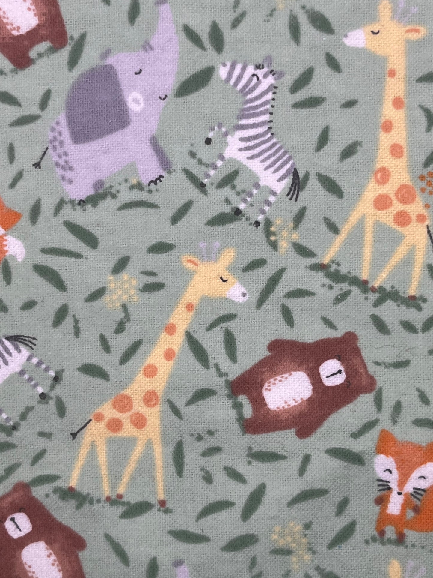 Baby Animals