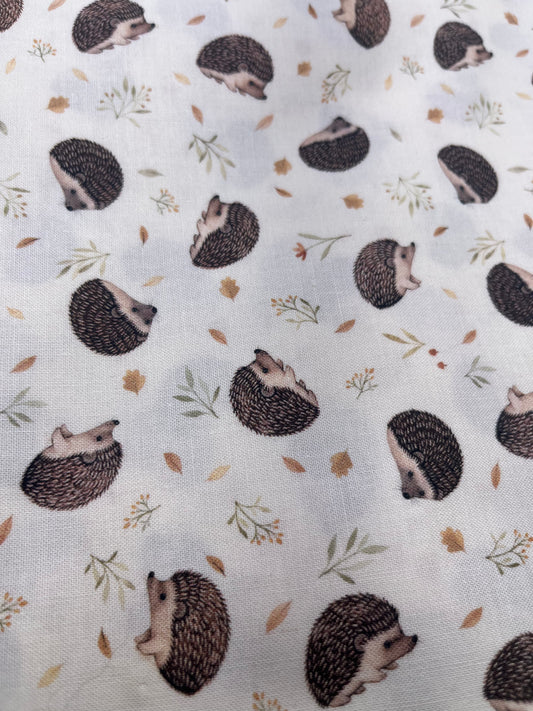 Hedgehogs (premium)