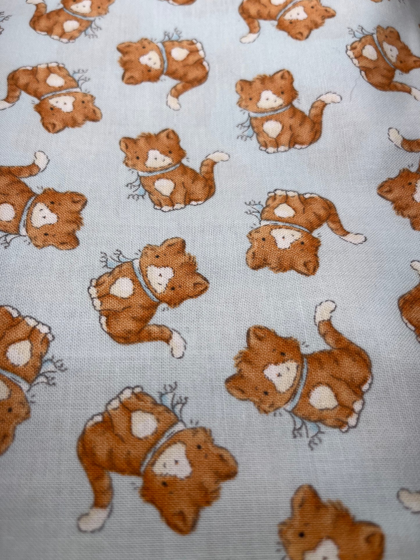 Cats (premium)