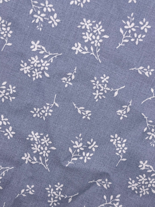 Blue and White Flower